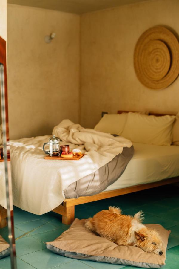 Boulenc Bed And Bread Hotel Oaxaca Exterior foto